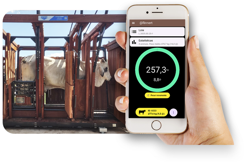 App Pecuária Trennir